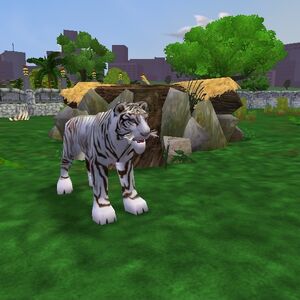 White Bengal Tiger Zoo Tycoon Wiki Fandom
