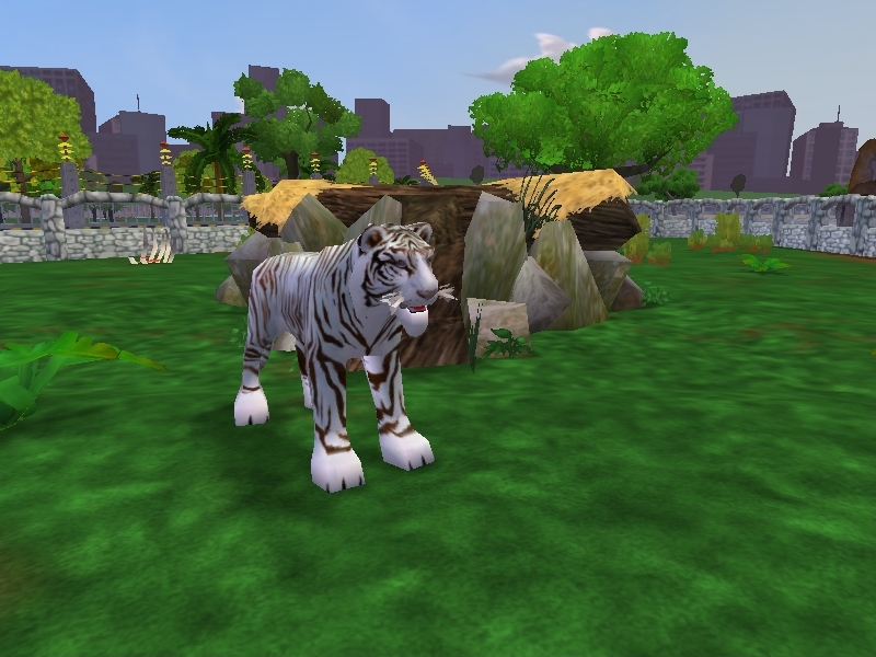 White Bengal Tiger | Zoo Tycoon Wiki | Fandom