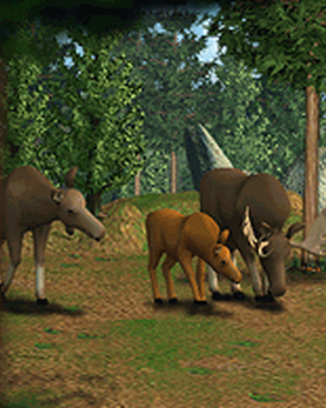 Moose Zoo Tycoon Wiki Fandom