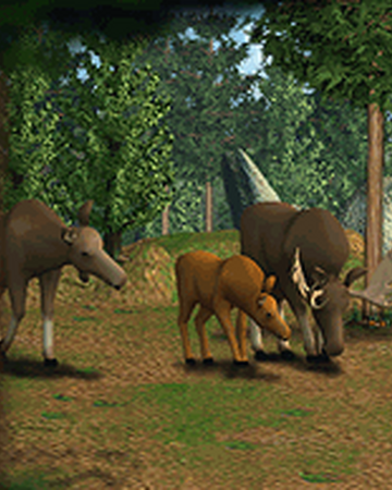 Zoo Tycoon Wiki Animals