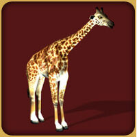 Masai Giraffe Zoo Tycoon Wiki Fandom