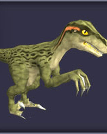 Utahraptor Zoo Tycoon Wiki Fandom