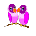 75 loveBirdAni