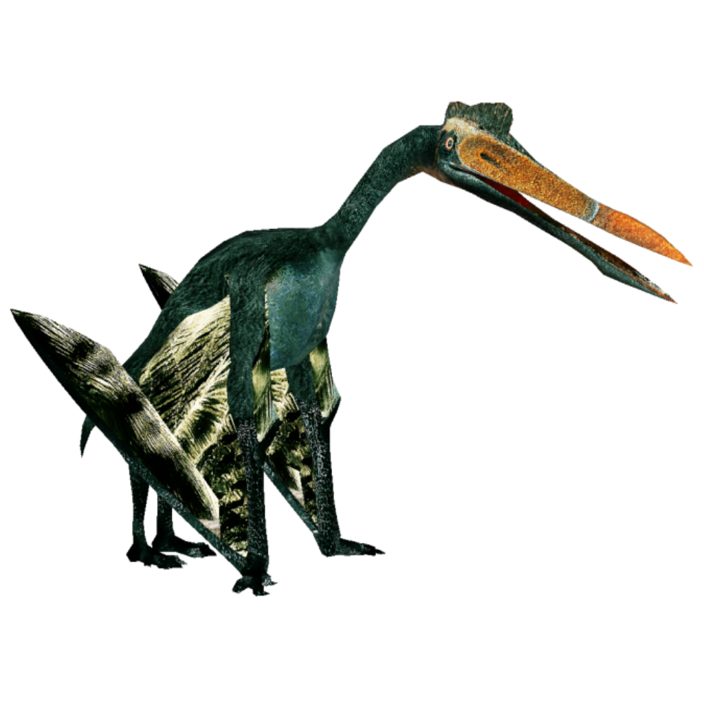 Hatzegopteryx Andrew12 Zt2 Library Wiki Fandom Hatzegopteryx Andrew12