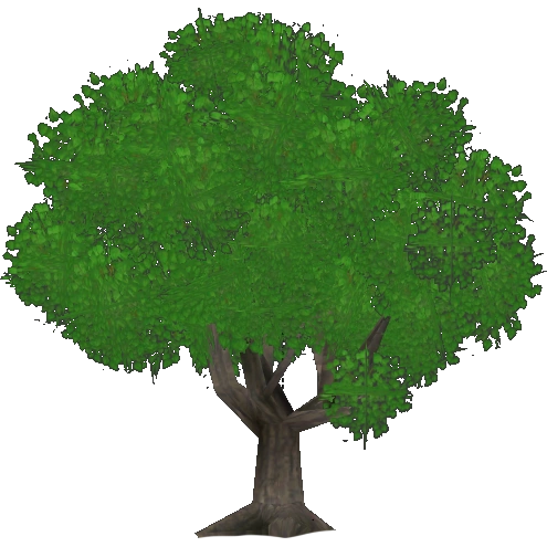 https://vignette.wikia.nocookie.net/zt2downloadlibrary/images/0/02/Beech_Tree_%28Kangorilaphant%29.png/revision/latest?cb=20190906174532