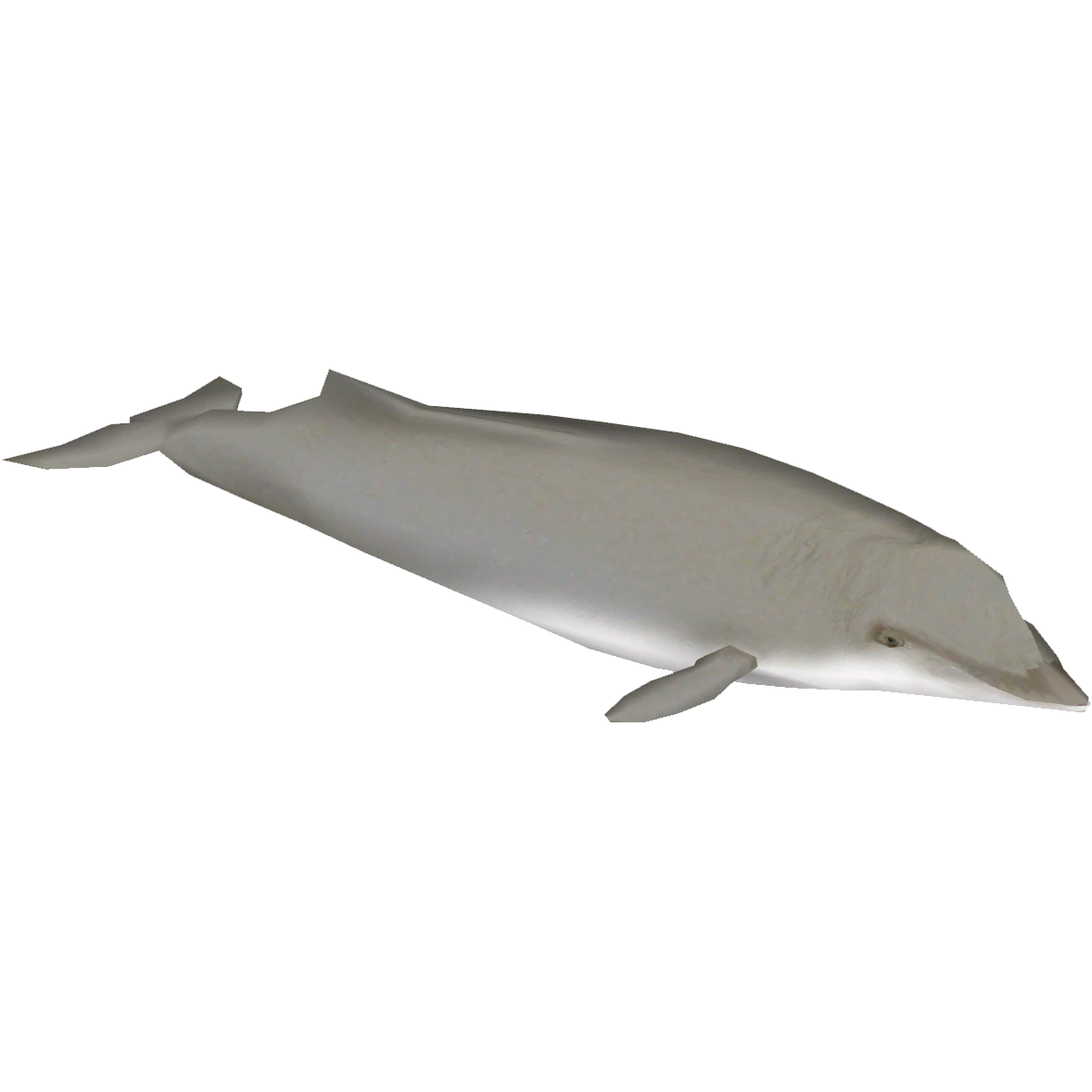 https://vignette.wikia.nocookie.net/zt2downloadlibrary/images/0/06/Arnoux%27s_Beaked_Whale_%28Zoo_Tycoon_Wildlife_Design_Team%29.png/revision/latest?cb=20200925131316