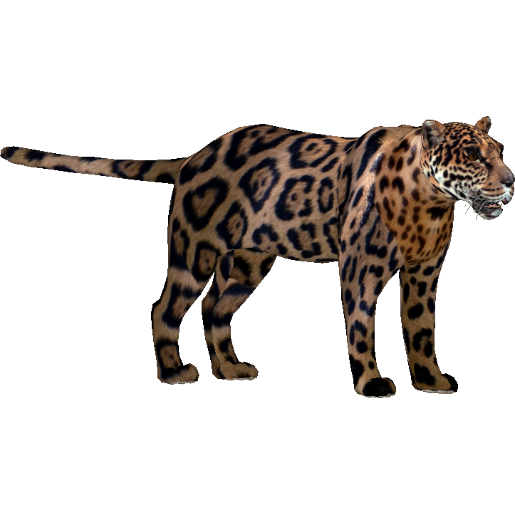 Jagupard (Zoodesia Designs) | ZT2 Download Library Wiki | FANDOM ...