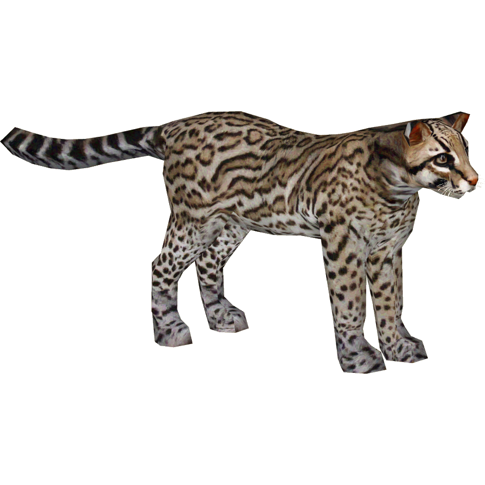 webkinz ocelot