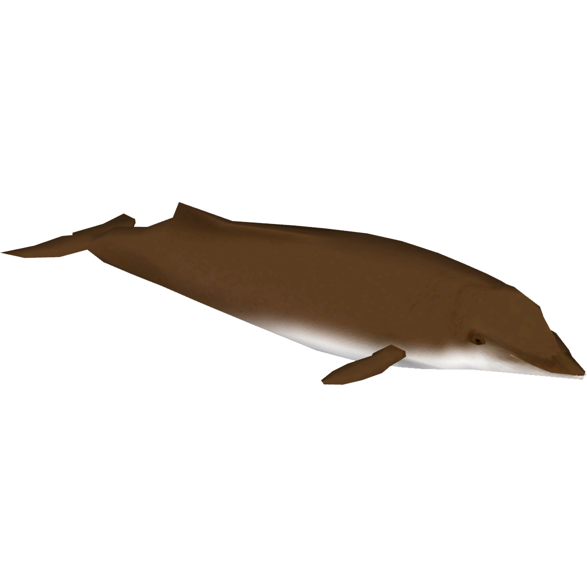 https://vignette.wikia.nocookie.net/zt2downloadlibrary/images/0/08/Baird%27s_Beaked_Whale_%28Zoo_Tycoon_Wildlife_Design_Team%29.png/revision/latest?cb=20200926165739