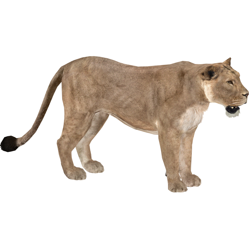 zoo tycoon 2 lion remake