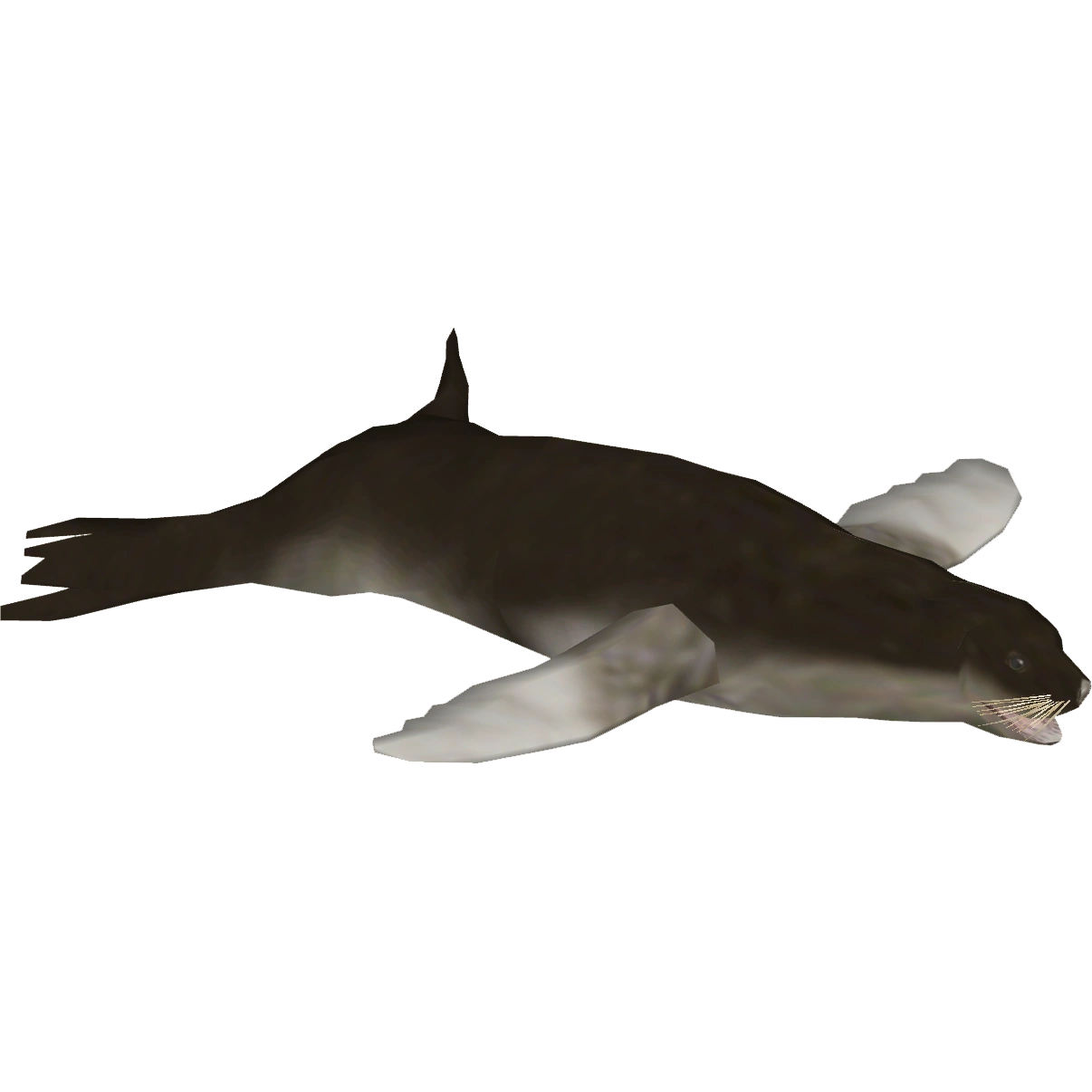 https://vignette.wikia.nocookie.net/zt2downloadlibrary/images/1/11/Crabeater_Seal_%28Zoo_Tycoon_Wildlife_Design_Team%29.png/revision/latest?cb=20201008131943