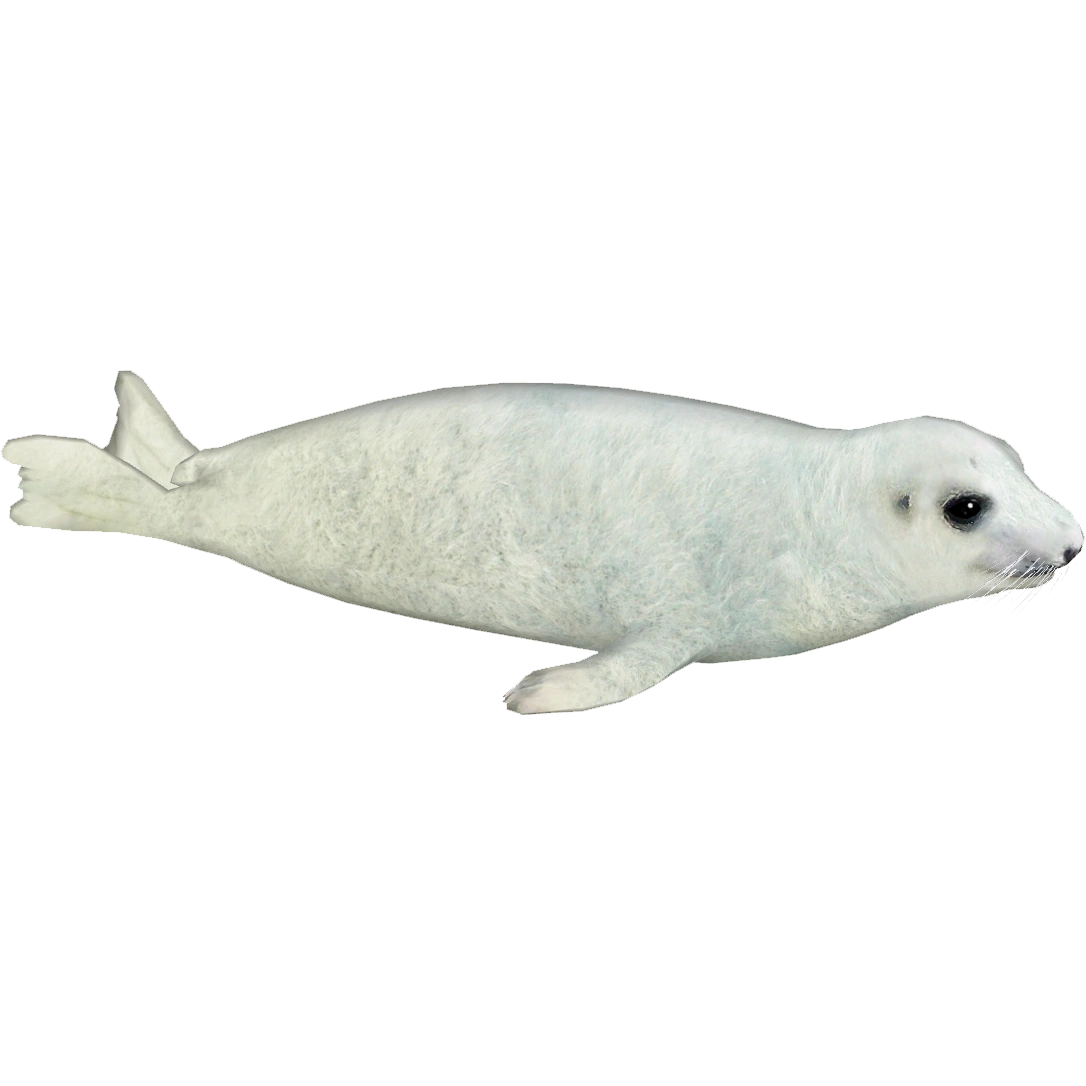 Image Harp Seal (Whalebite) Y.png ZT2 Download Library Wiki