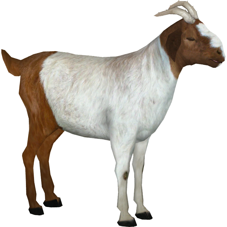 Boer Goat (slice) | ZT2 Download Library Wiki | FANDOM powered by Wikia