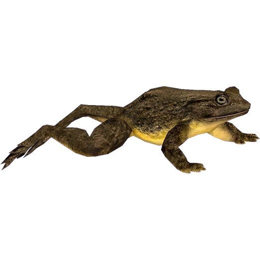 Goliath Frog (ZTABC Team) ZT2 Download Library Wiki Fandom