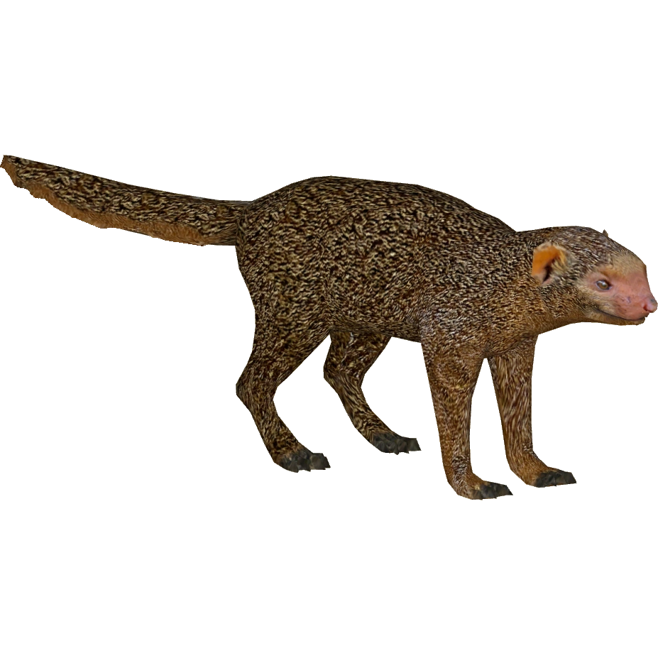 CategoryMongooses ZT2 Download Library Wiki FANDOM powered by Wikia