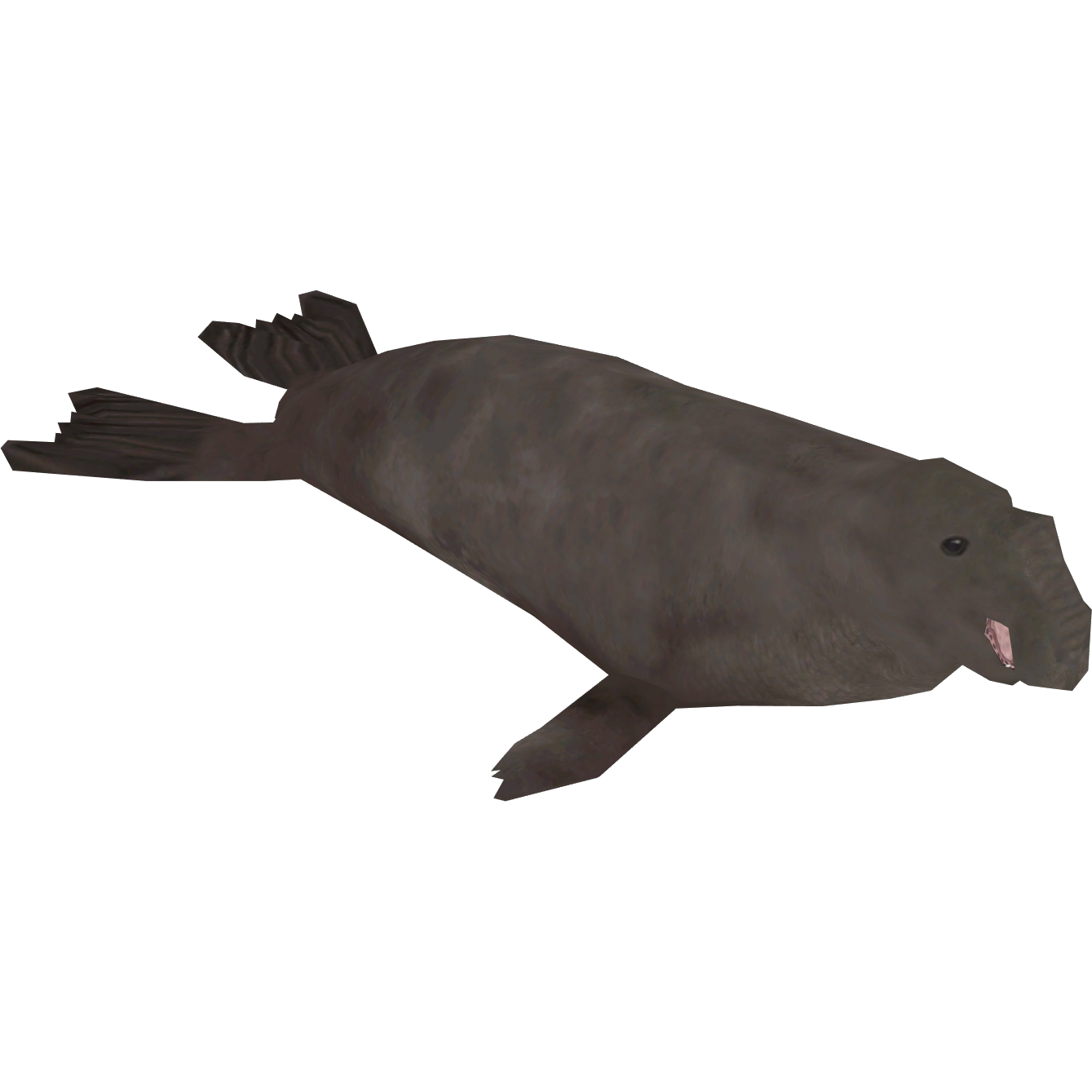Northern Elephant Seal (The Restorers) | ZT2 Download Library Wiki | Fandom