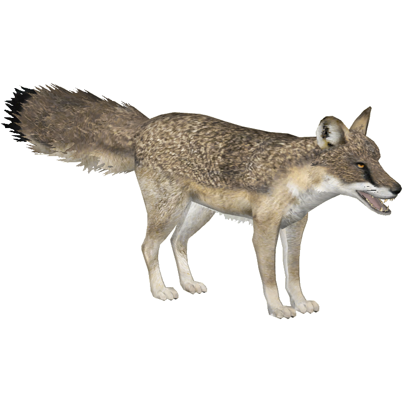 Categoryextinct Canids Zt2 Download Library Wiki Fandom