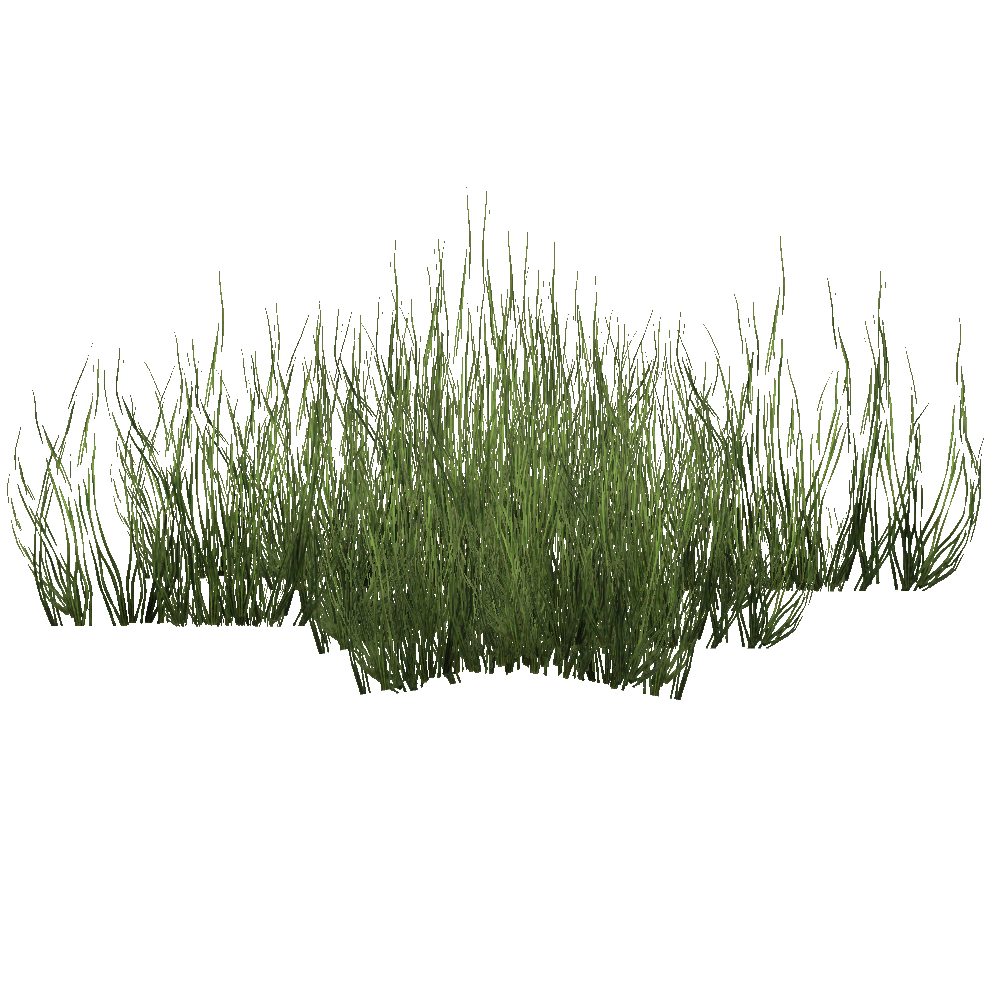Green Seagrass (Tigress) | ZT2 Download Library Wiki | Fandom