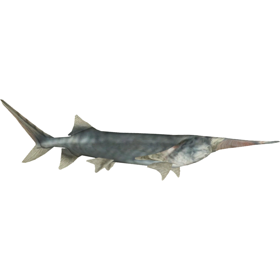 https://vignette.wikia.nocookie.net/zt2downloadlibrary/images/2/2a/Chinese_Paddlefish_%28Whalebite%29.png/revision/latest?cb=20160510203915