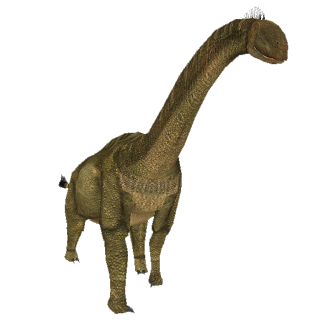 shunosaurus