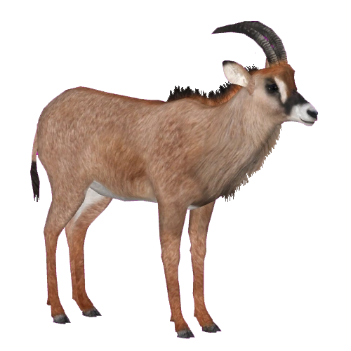 https://vignette.wikia.nocookie.net/zt2downloadlibrary/images/2/2b/Roan_Antelope_F_Tamara_Henson.png/revision/latest?cb=20190225200028