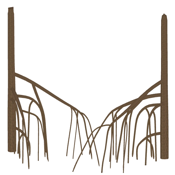 https://vignette.wikia.nocookie.net/zt2downloadlibrary/images/2/2c/Mangrove_Roots_%28Whalebite%29.png/revision/latest?cb=20170615122457