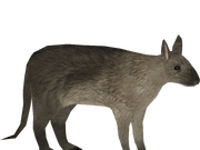 Category Giant Rodents Pack Demon Hunter Zt2 Download Library Wiki Fandom