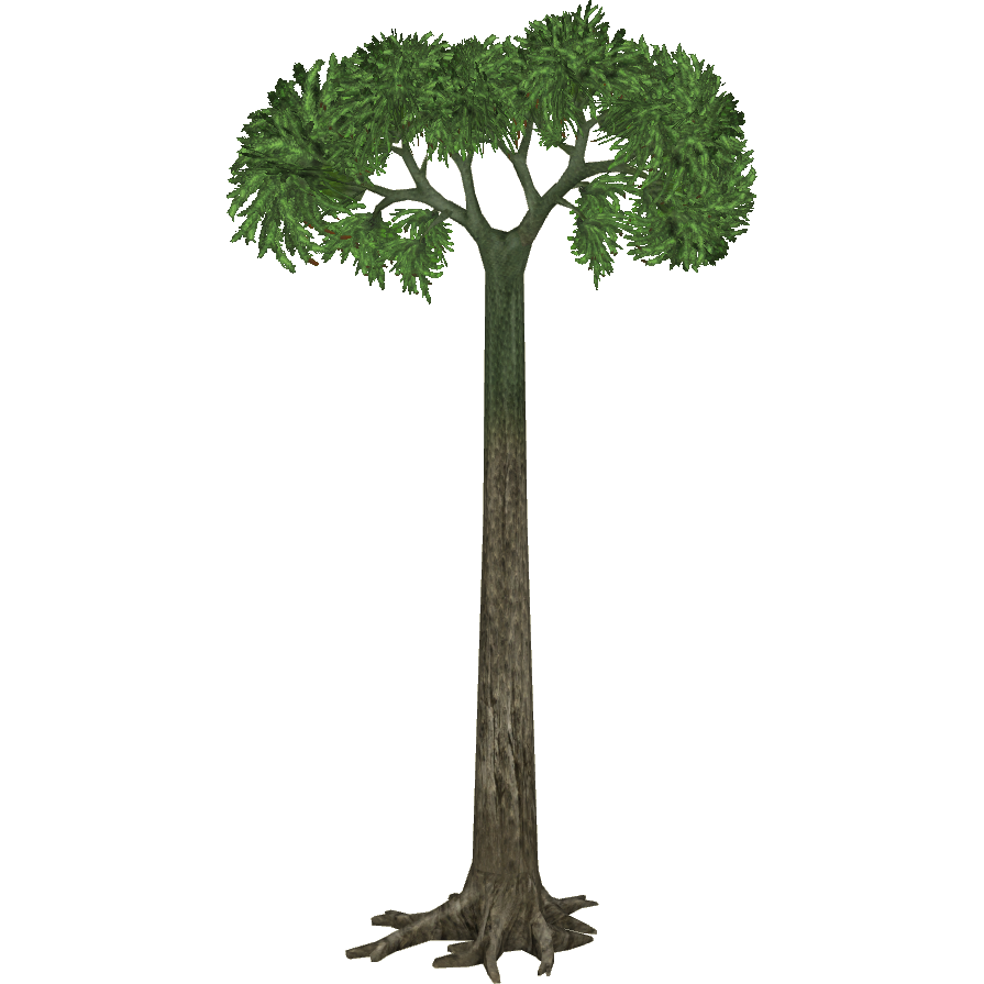 Lepidodendron (Bunyupy) | ZT2 Download Library Wiki | Fandom