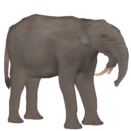 Prodeinotherium (Zoo Tycoon 2 World) | ZT2 Download Library Wiki | Fandom