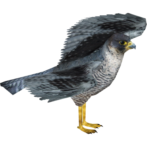 Peregrine Falcon (Zerosvalmont) | ZT2 Download Library Wiki | FANDOM