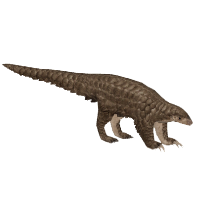 https://vignette.wikia.nocookie.net/zt2downloadlibrary/images/3/33/SundaPangolin_ZooTycoonerFR.png/revision/latest?cb=20170115192338