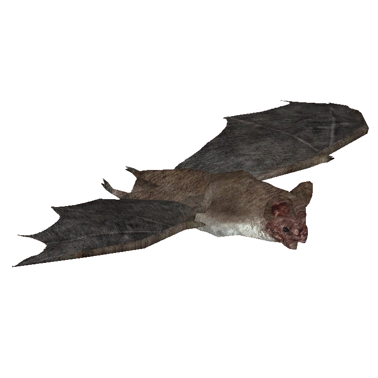 Ambient White-winged Vampire Bat (Maks) | ZT2 Download Library Wiki