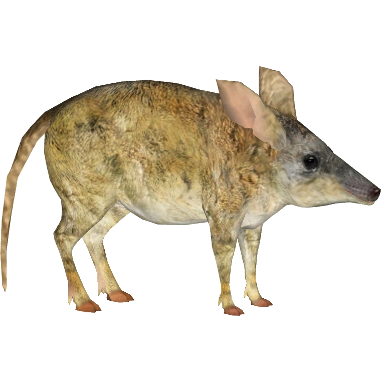 https://vignette.wikia.nocookie.net/zt2downloadlibrary/images/3/35/Pig_Footed_Bandicoot_%28Tamara_Henson%29.png/revision/latest?cb=20160503181606