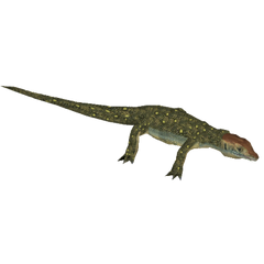 Mertens' Water Monitor (Maxl-Faxl) | ZT2 Download Library Wiki | Fandom