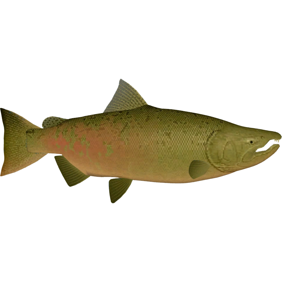 latest?cb=20150713130043