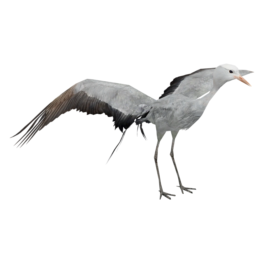 Aurora Software Free Download Aurora Software Free Download