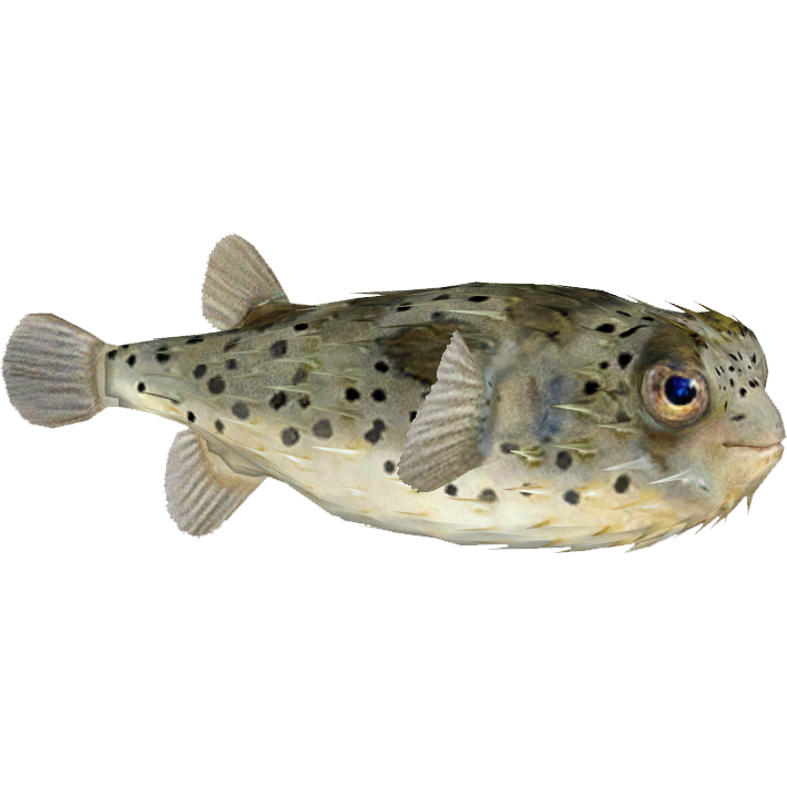 Long-spine Porcupinefish (Zerosvalmont) | ZT2 Download Library Wiki ...