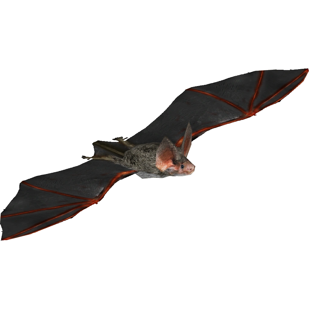 https://vignette.wikia.nocookie.net/zt2downloadlibrary/images/3/3e/Lesser_Long-eared_Bat_%28Tamara_Henson%29.png/revision/latest?cb=20160503181605