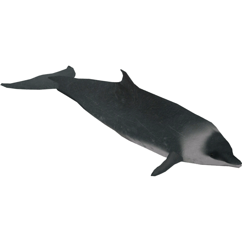 Hector's Beaked Whale (Zeta-Designs) | ZT2 Download Library Wiki | Fandom