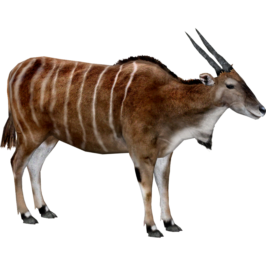 Giant Eland (Taurotragus) | ZT2 Download Library Wiki | Fandom