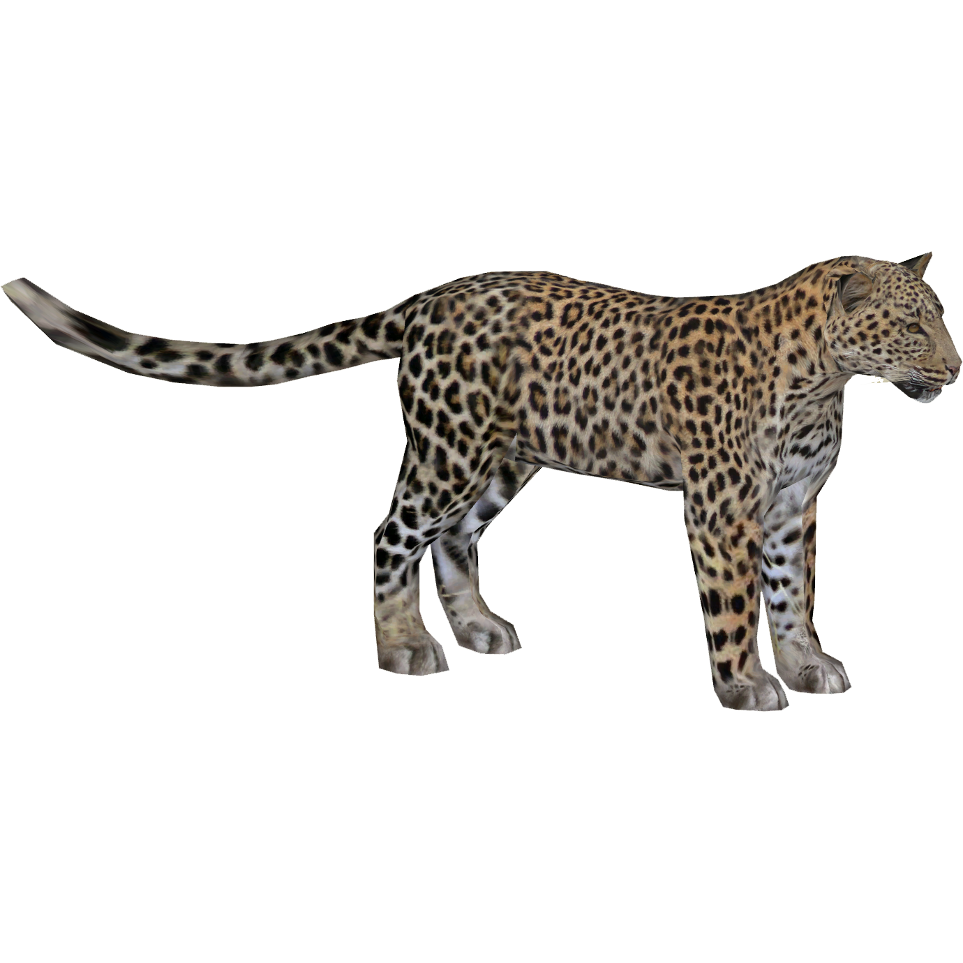 animal statue zt2