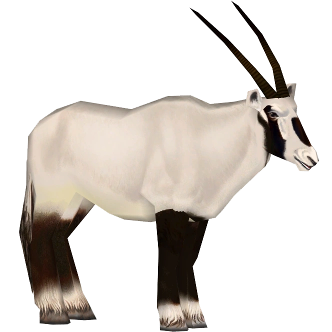 https://vignette.wikia.nocookie.net/zt2downloadlibrary/images/4/42/OryxArabian_%28Silesian_Tomcat%29.png/revision/latest?cb=20200208233114