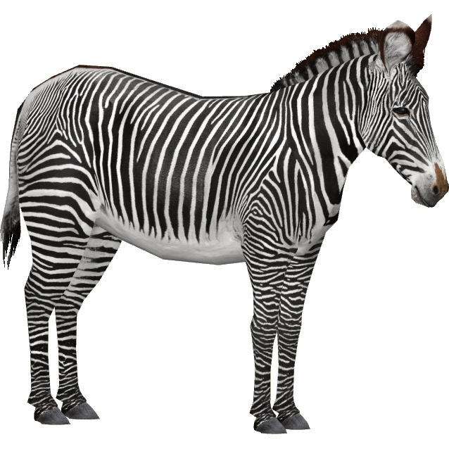 Image - Grévy's Zebra (Dube Warriors Team)3.png | ZT2 Download Library ...