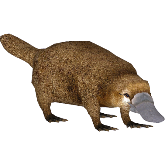 Platypus (Longisquama)  ZT2 Download Library Wiki 
