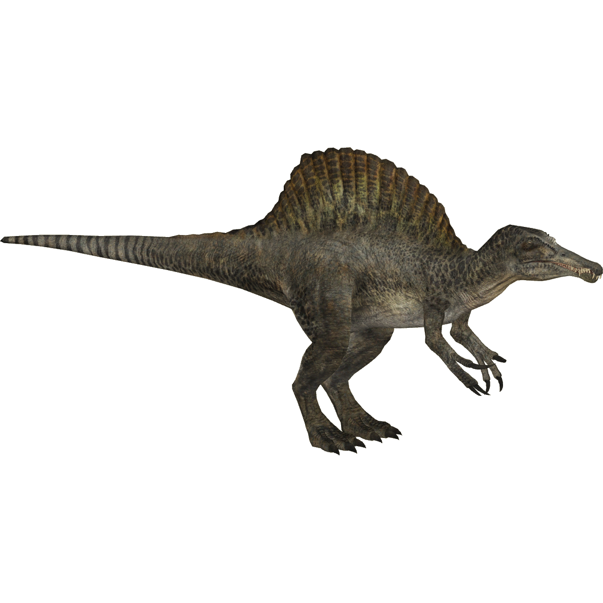 spinosaurids