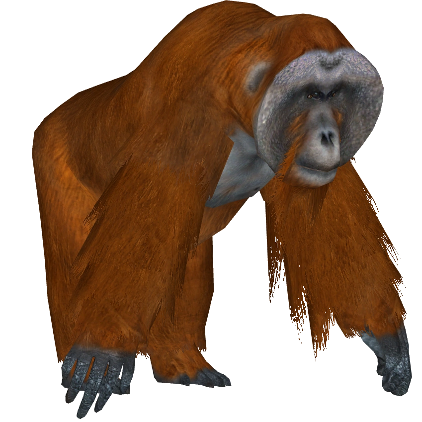 https://vignette.wikia.nocookie.net/zt2downloadlibrary/images/4/49/Sumatran_Orangutan_%28Tamara_Henson%29_M.png/revision/latest?cb=20180826143529