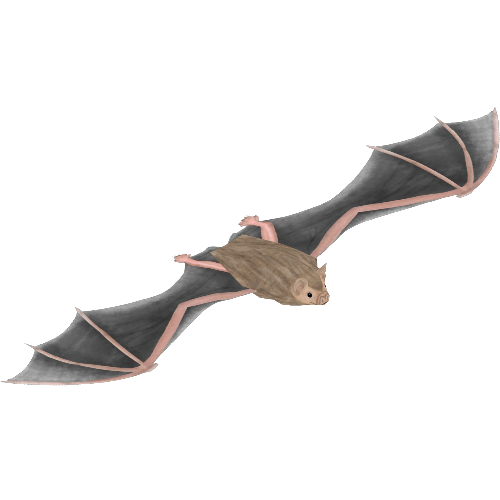 White-winged Vampire Bat (LilyValley) | ZT2 Download Library Wiki | Fandom