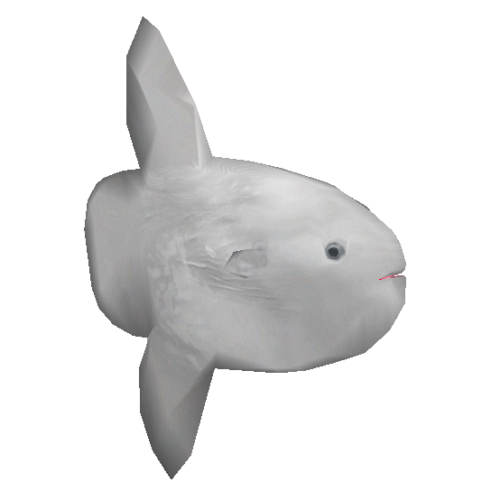 Ocean Sunfish (VGnome) | ZT2 Download Library Wiki | Fandom