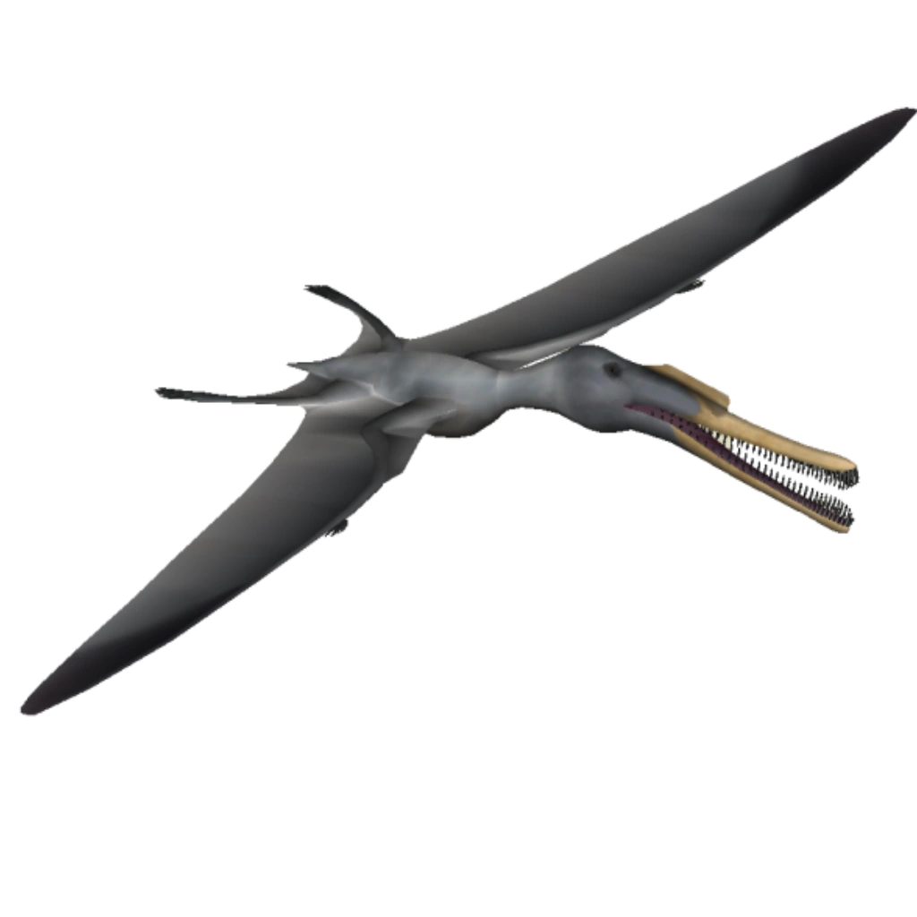 Zhenyuanopterus (Philly) ZT2 Download Library Wiki FANDOM powered