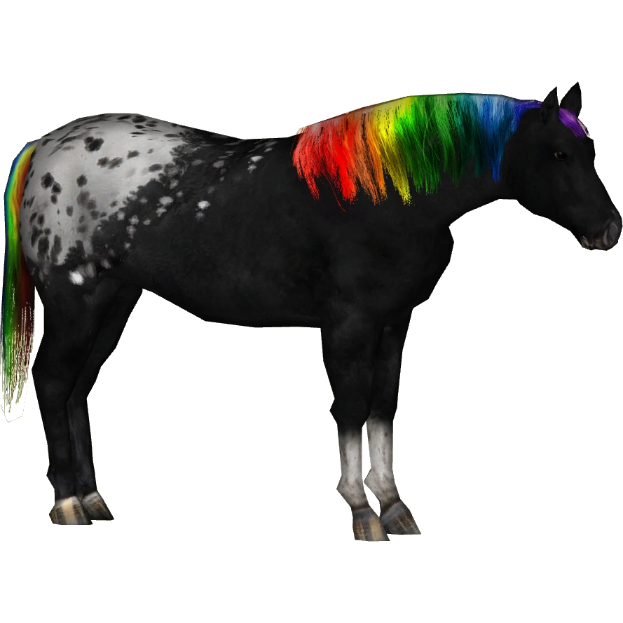 https://vignette.wikia.nocookie.net/zt2downloadlibrary/images/5/53/Appaloosa_Horse_%28Tamara_Henson%2910.png/revision/latest?cb=20160721025211